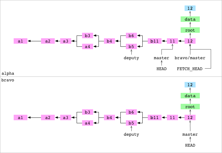 在获取`bravo / master`之后的`alpha`